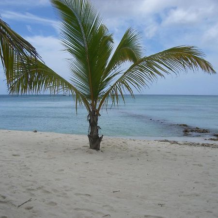 Hotel Bayahibe Extérieur photo