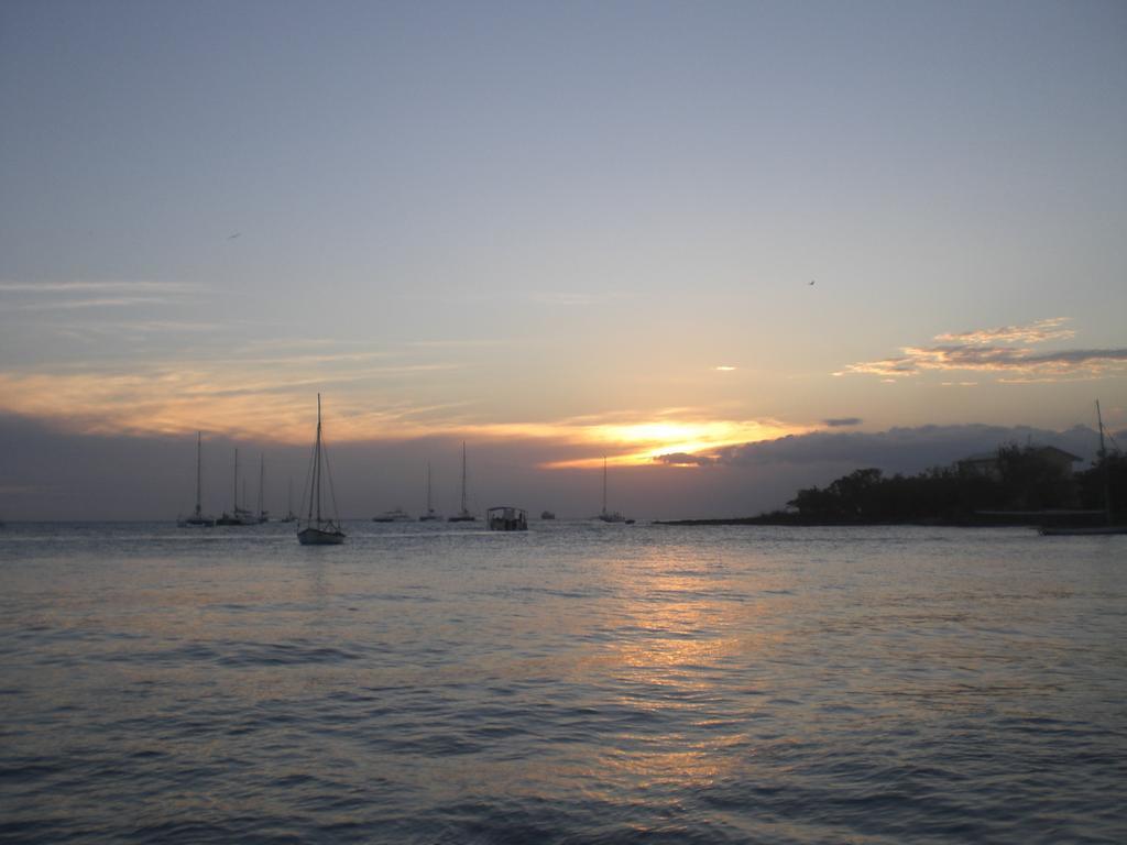 Hotel Bayahibe Extérieur photo