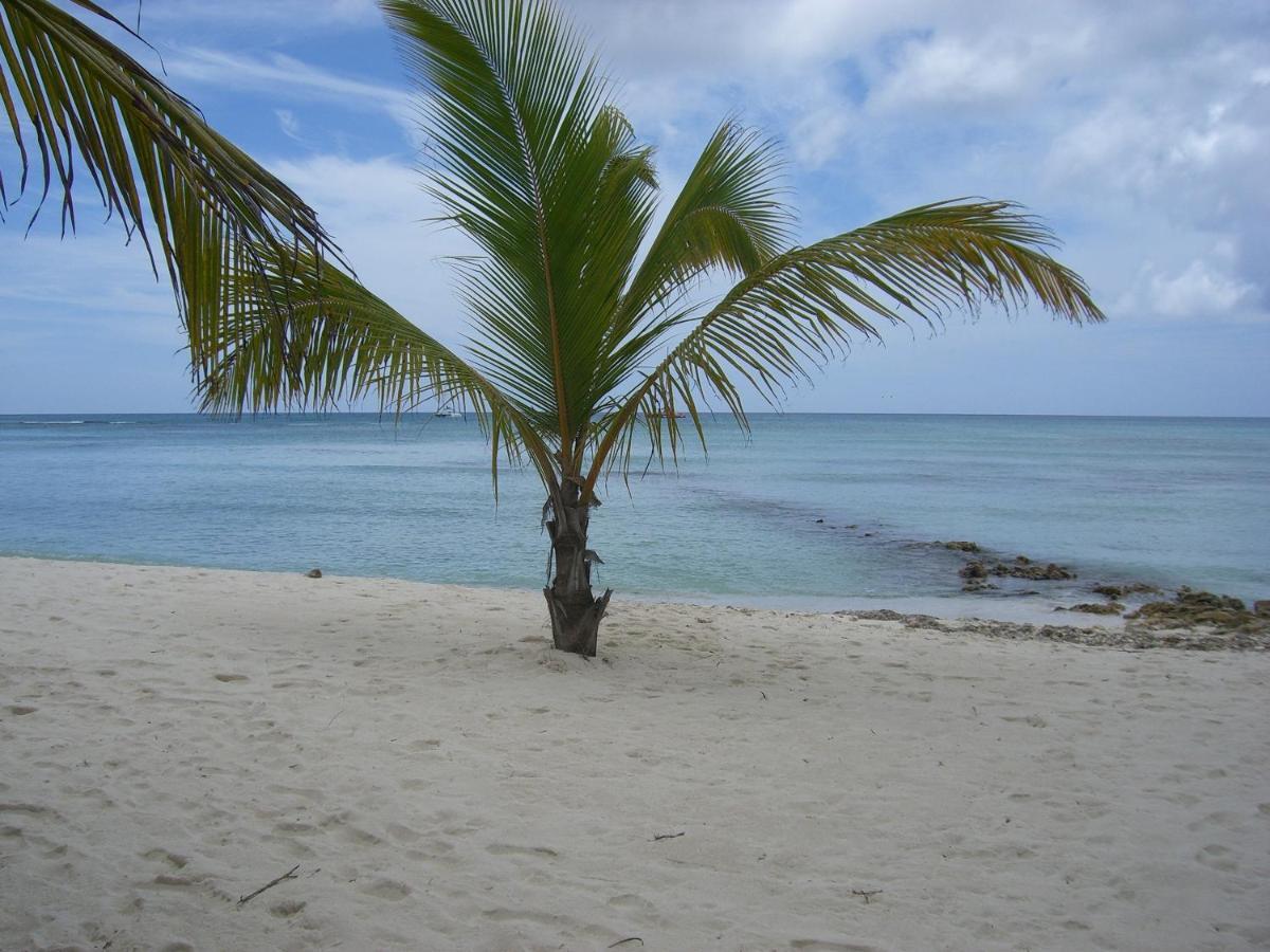 Hotel Bayahibe Extérieur photo